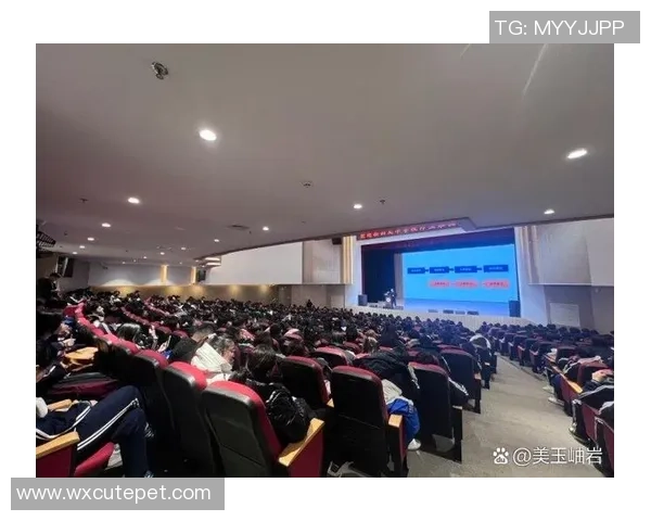 刘静的网球人生深度对话探索她的成长与梦想之路