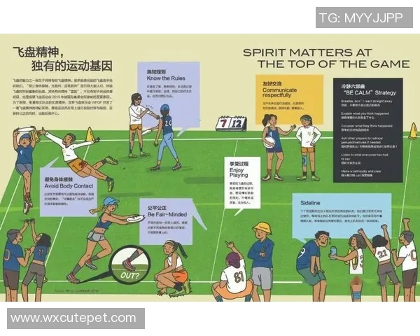 南京飞盘队与深圳飞盘队耐力对决赛后分析与总结