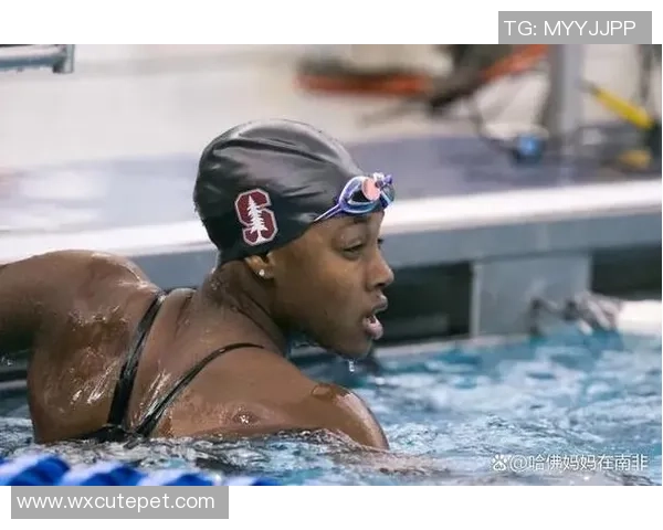 北京飞盘队球员个人能力深度对比与战术分析