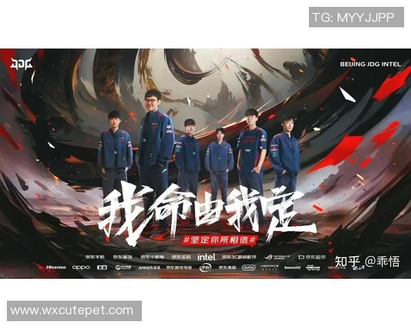JDG战队的蜕变与成长之路在CSGO竞技场的纪实探索