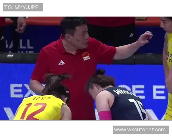 广州排球队心理素质创新高排球界新标杆引发关注与讨论