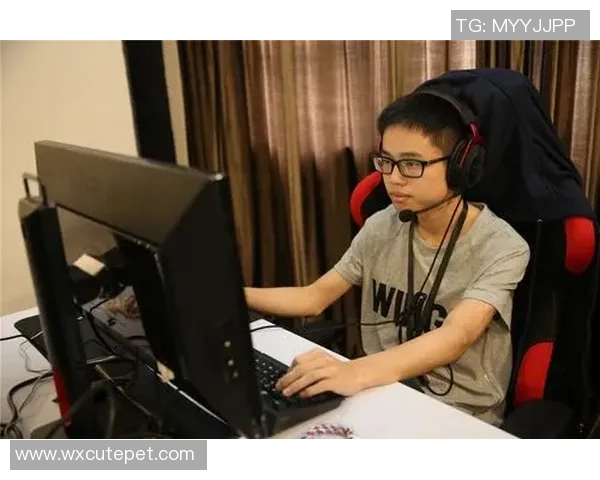 杨磊回顾DOTA2辉煌历程与未来展望的深度专访