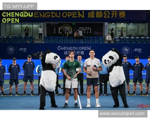 成都网球队比赛经验引发热议球迷与专家观点大碰撞