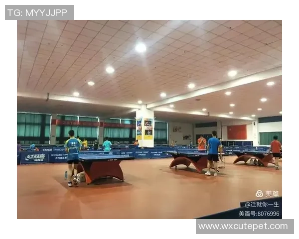 深圳乒乓球队耐力表现数据分析揭示训练效果与比赛成绩的关系