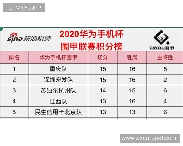 杭州羽毛球队在杯赛积分榜上以75分稳居第一名展现强劲实力