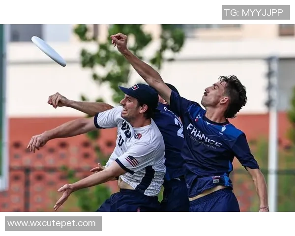 成都飞盘队快攻战术解析与实战应用探讨