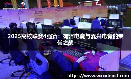 DB真人旗舰