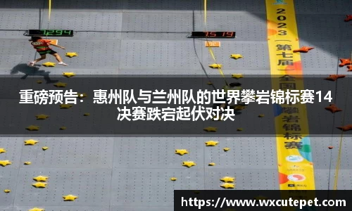 DB旗舰官网