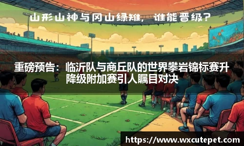 DB旗舰官网