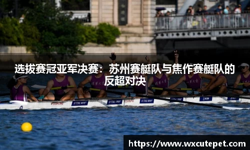 DB旗舰官网