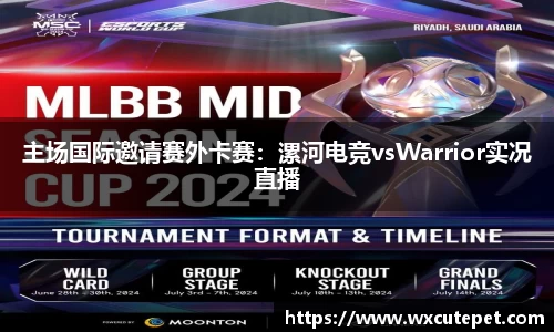 DB旗舰官网