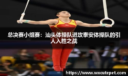 DB旗舰官网