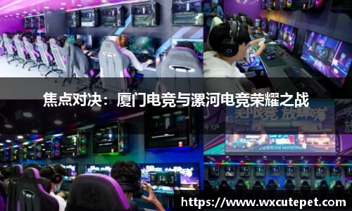 DB旗舰官网
