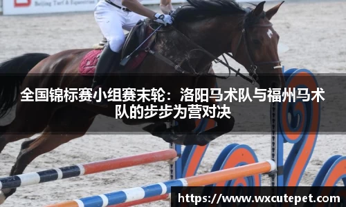 DB旗舰官网