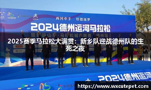 2025赛季马拉松大满贯：新乡队迎战德州队的生死之夜