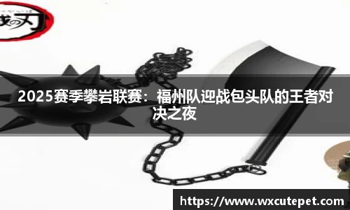 2025赛季攀岩联赛：福州队迎战包头队的王者对决之夜