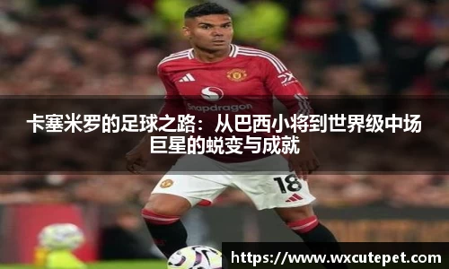 DB旗舰官网