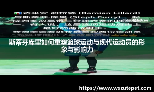 DB真人旗舰