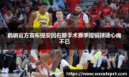 DB旗舰官网
