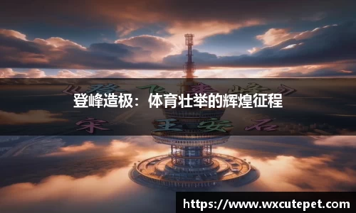 DB旗舰